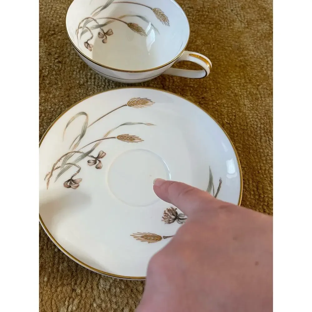 Lovely Vintage Noritake Flat Cup & Saucer Set Japan